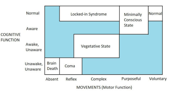 What Are The Different Levels Of Unconsciousness