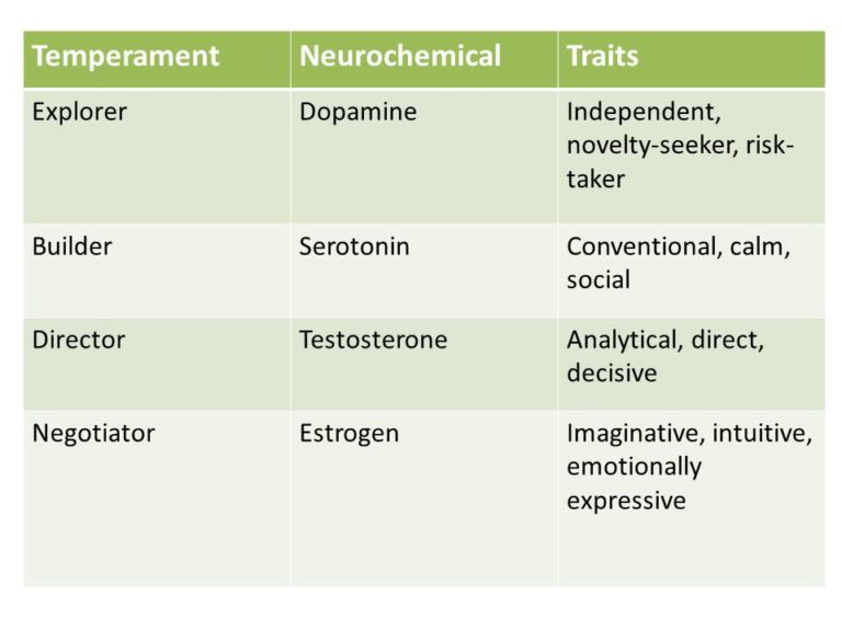 temperaments-test-explore-your-natural-traits-psychmechanics