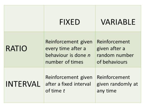 Variable Ratio Schedule Of Reinforcement Definition