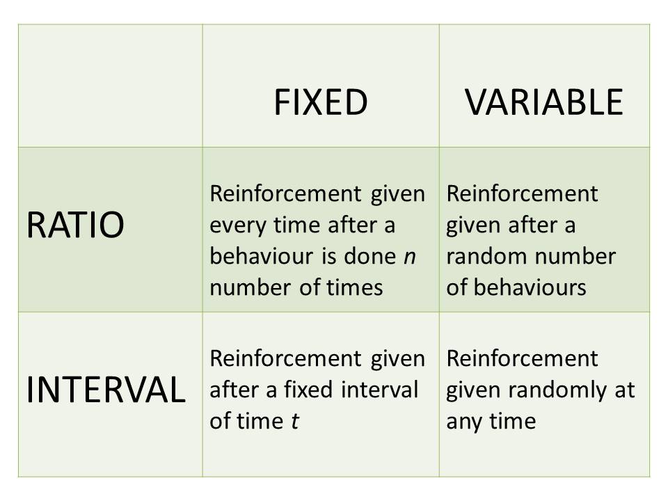 a-simple-explanation-of-classical-and-operant-conditioning