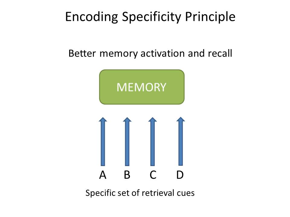 what is encoding in memory