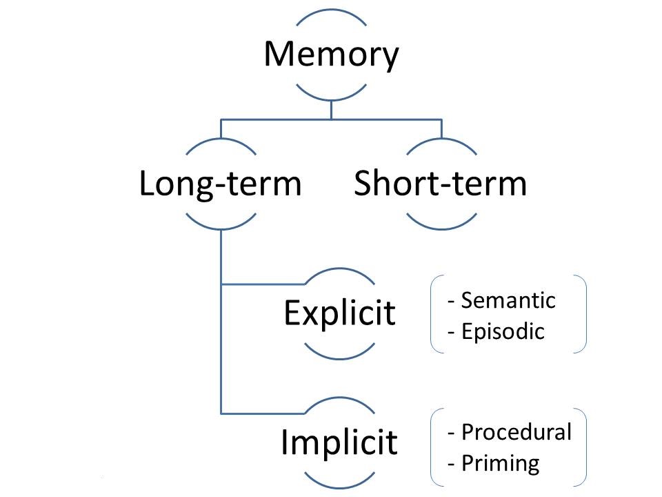 How Memory Functions Introduction To Psychology - vrogue.co