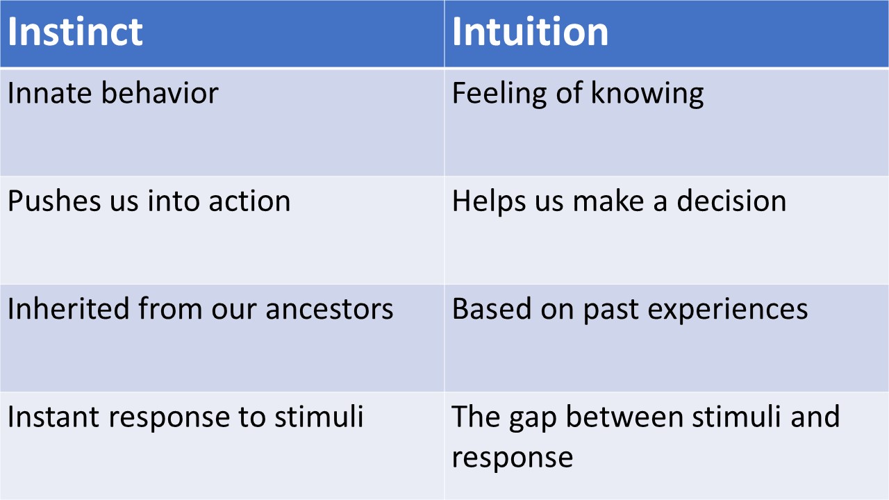 intuition-vs-instinct-what-s-the-difference-psychmechanics