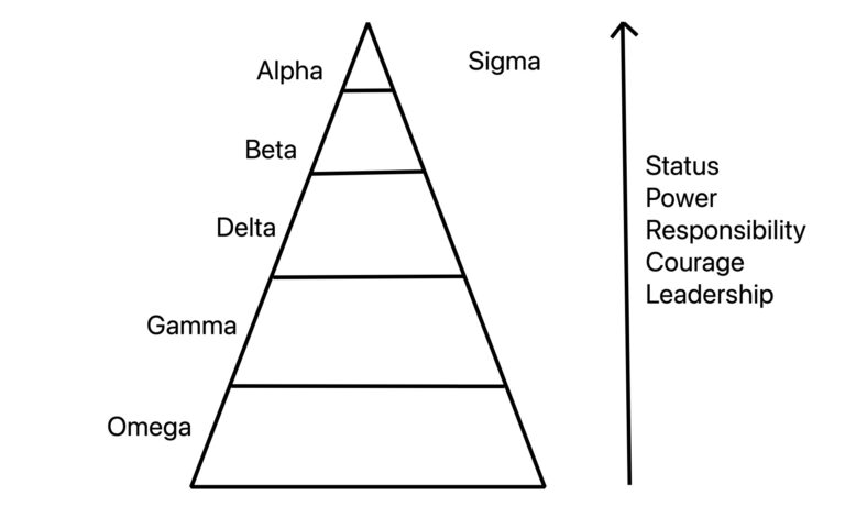 Male hierarchy test: What type are you?